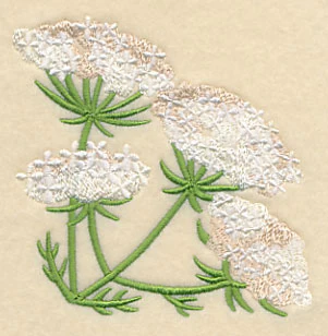 Queen Anne's Lace Corner - Image 3