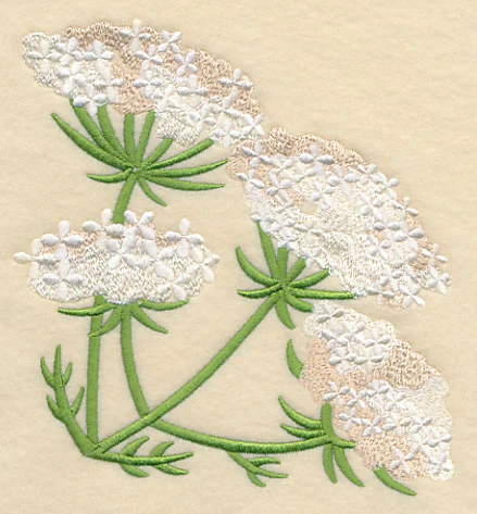Queen Anne's Lace Corner - Image 4