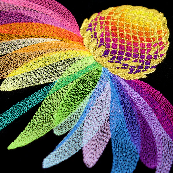 Rainbow Coneflower - Image 2
