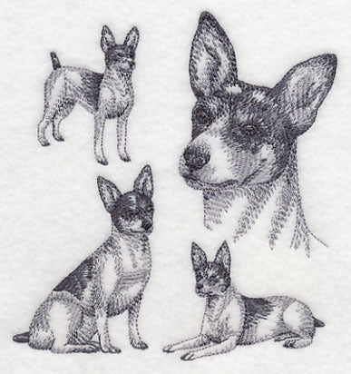 Rat Terrier Sketch - Image 3