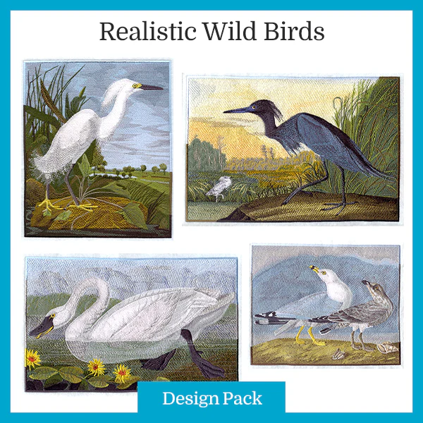 Realistic Wild Bird Design Pack - Image 4