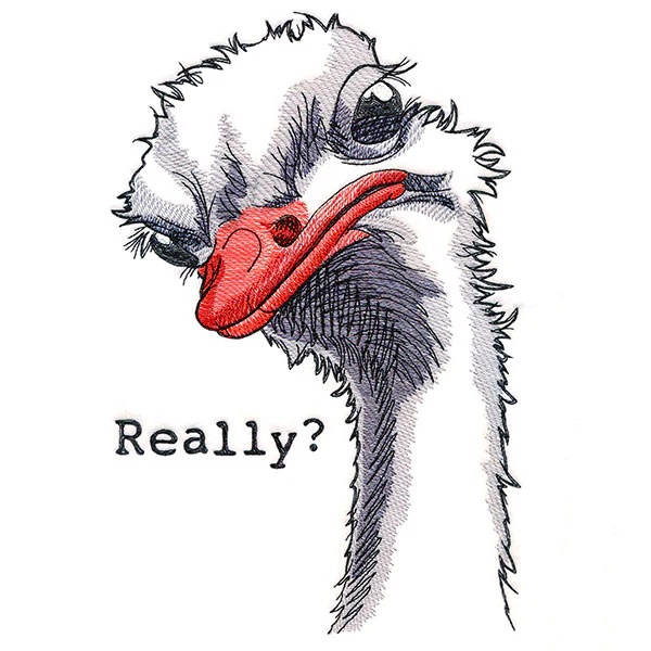 Really? Ostrich - Image 10