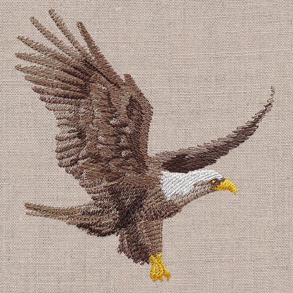 Regal Soaring Eagle - Image 7