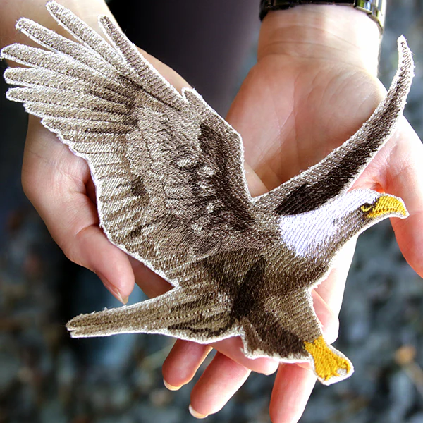 Regal Soaring Eagle - Image 8