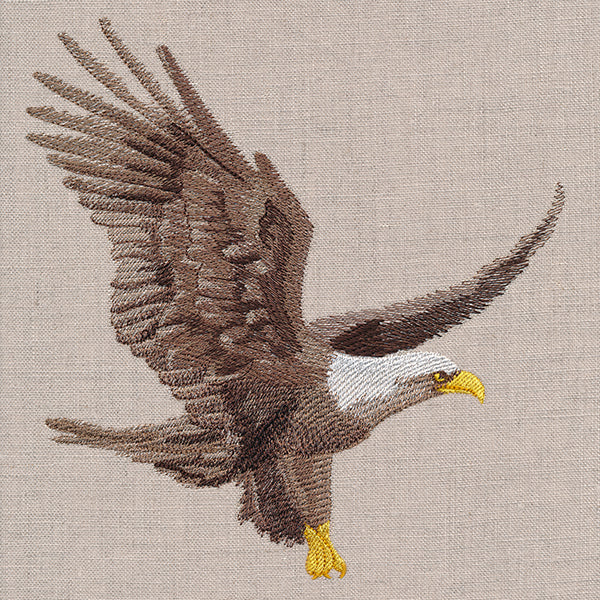 Regal Soaring Eagle - Image 9