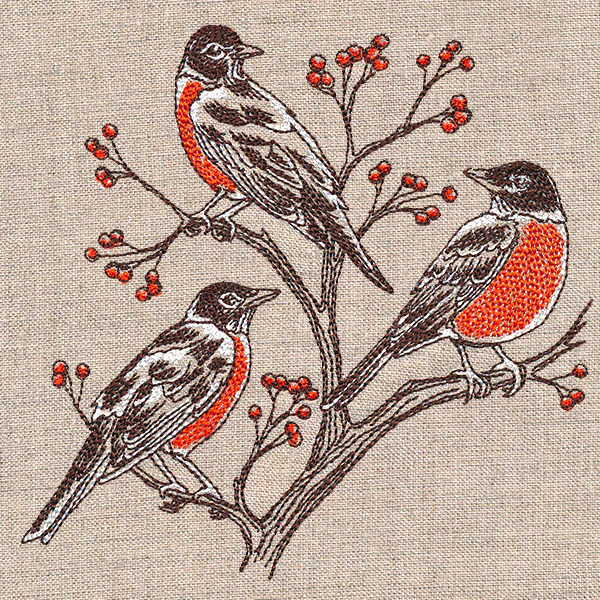 Resting Robins Trio - Image 7
