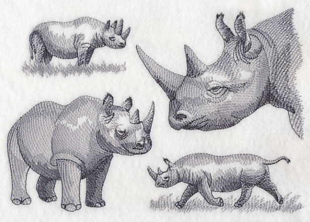 Rhinoceros Sketch - Image 2