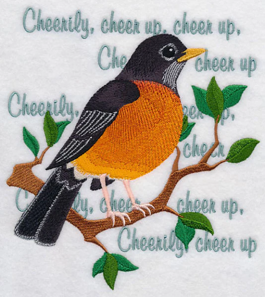 Robin Song