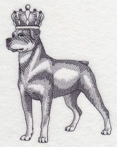 Rottweiler in Crown - Image 2