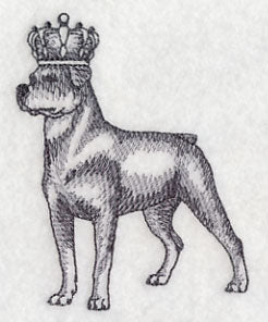 Rottweiler in Crown - Image 3