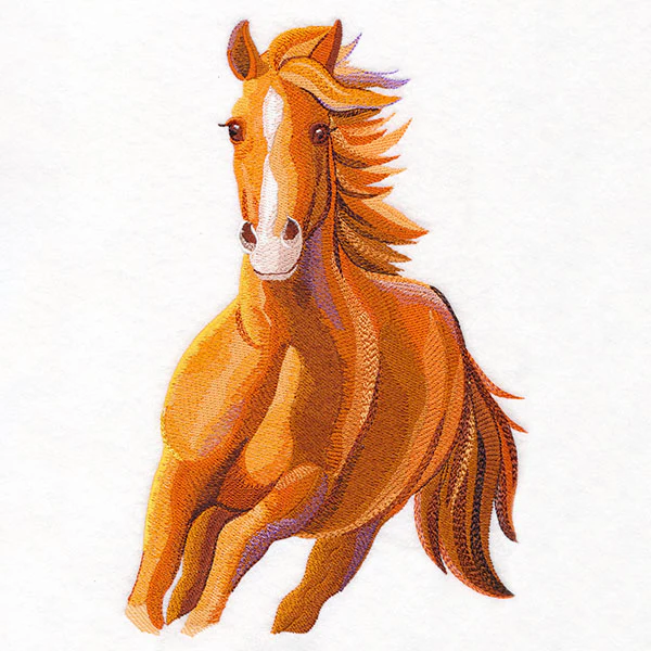 Run Wild Stallion
