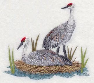Sandhill Cranes on Shore - Image 2
