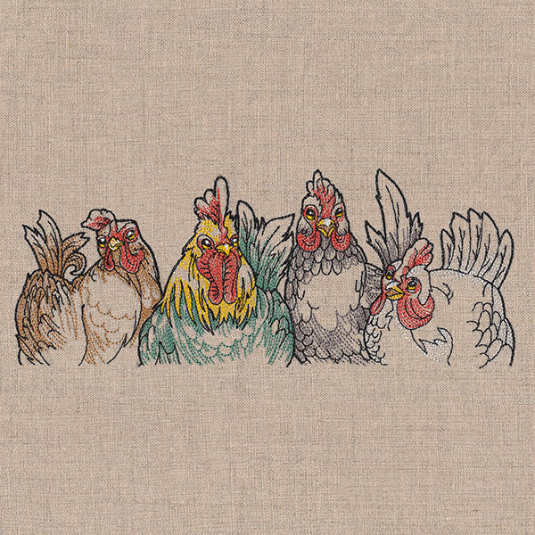 Sassy Chickens Border - Image 10