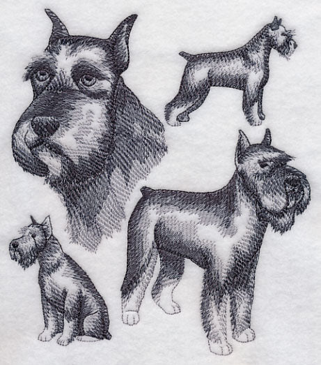 Schnauzer Sketch (Docked Tail and Cropped Ears) - Image 2