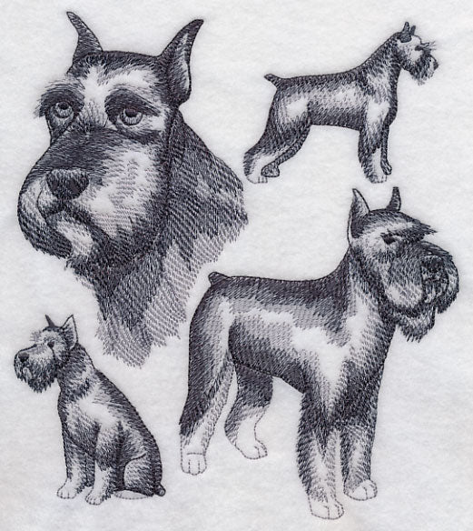 Schnauzer Sketch (Docked Tail and Cropped Ears) - Image 5