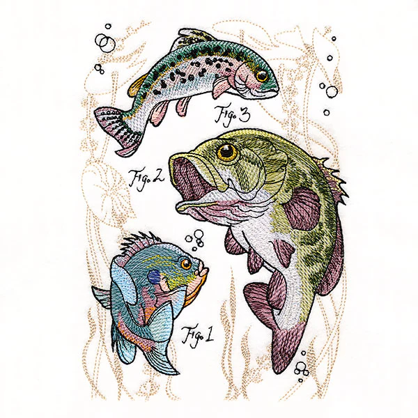 Scientific Fish Medley - Image 2
