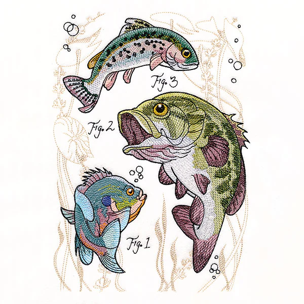 Scientific Fish Medley - Image 4