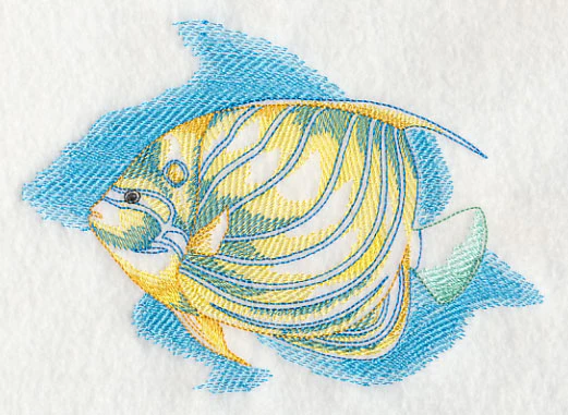 Sea Life Splash - Blue Ring Angelfish - Image 5