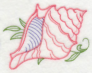 Seashell - Murex (Vintage)