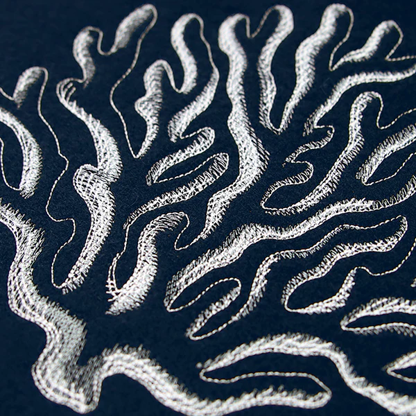 Seaside Etchings - Coral - Image 4