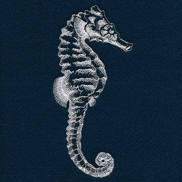 Seaside Etchings - Seahorse - Image 5
