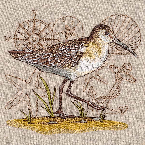 Seaside Sandpiper Medley - Image 3