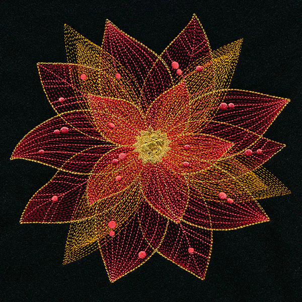 Sheer Contours Christmas Poinsettia