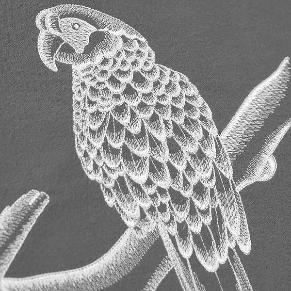 Sheer & Lovely Parrot - Image 6