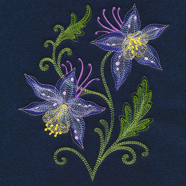 Sheer Magic Columbine - Image 7