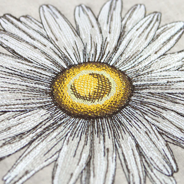 Shining Daisy - Image 6