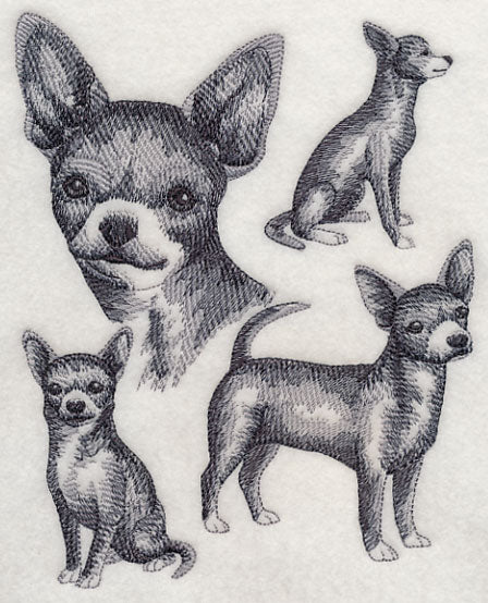 Short-haired Chihuahua Sketch - Image 3