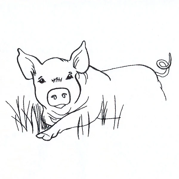 Simple Farm Sketch - Pig - Image 3