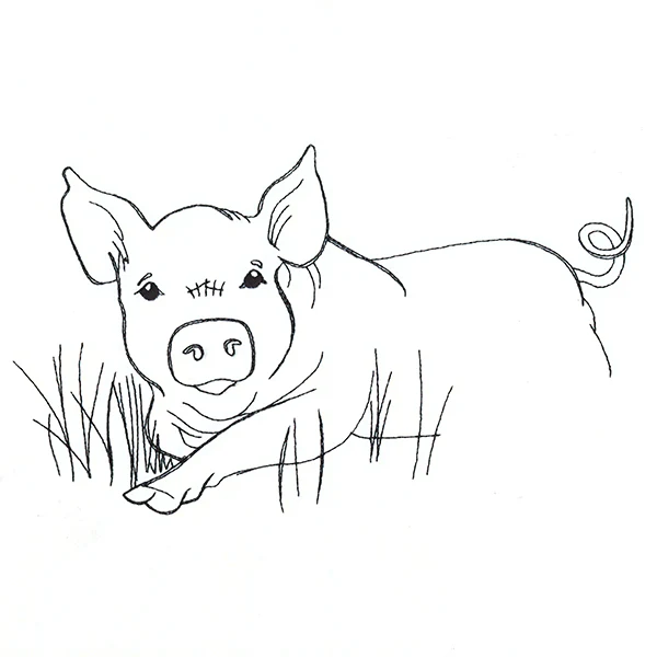 Simple Farm Sketch - Pig - Image 4