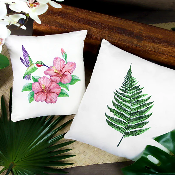 Simple Fern - Image 9