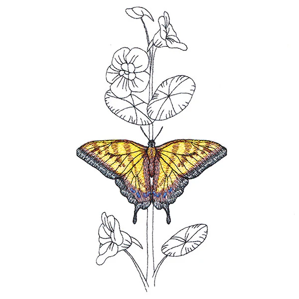 Simple Nasturtium and Tiger Swallowtail - Image 3