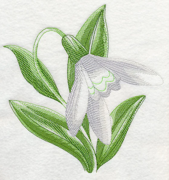 Snowdrop Beauty