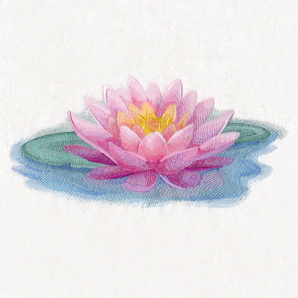 Soft and Serene Water Lily - Image 5