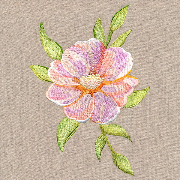 Soft Magnolia Bloom