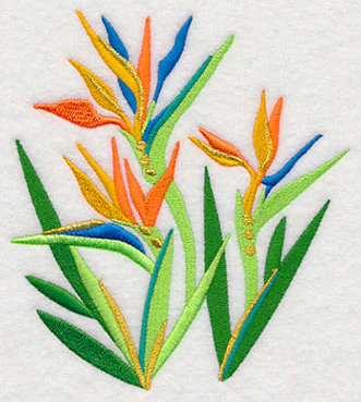 Some Like It Hot - Bird of Paradise - Image 4