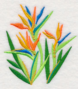 Some Like It Hot - Bird of Paradise - Image 5