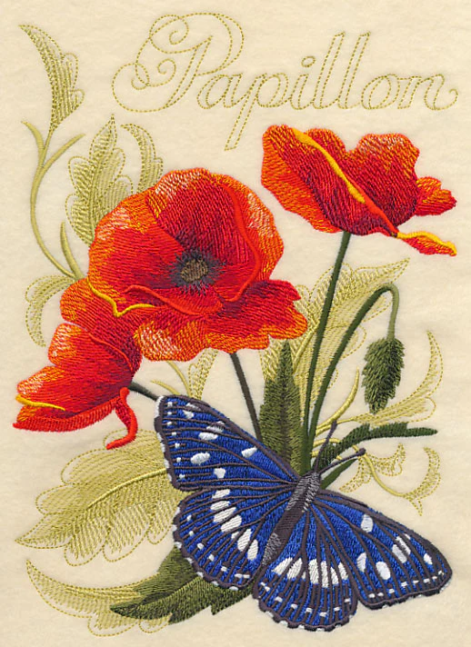 Southern White Admiral Butterfly and Poppies - Image 4