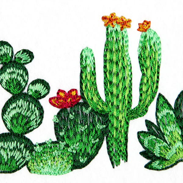 Southwest Cactus Border - Image 10