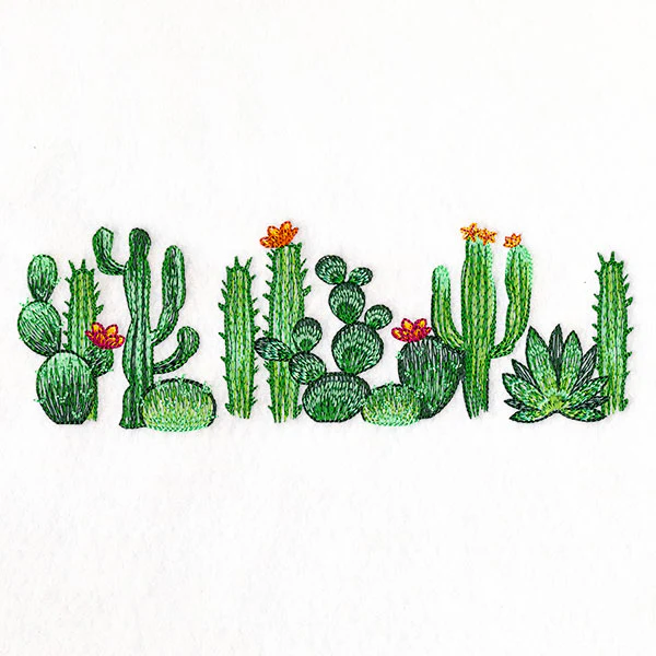 Southwest Cactus Border - Image 3