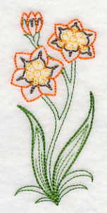 Sparaxis (Vintage) - Image 4