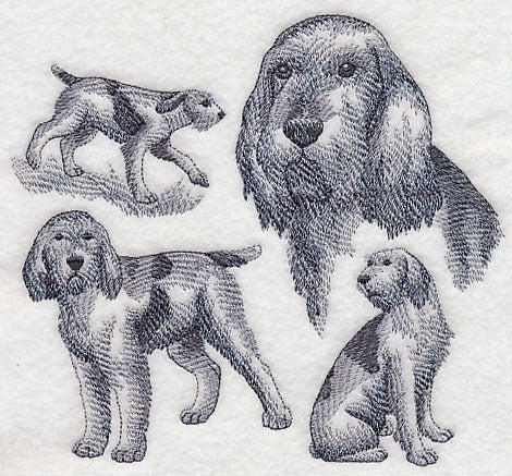 Spinone Italiano Sketch (Docked Tail) - Image 2