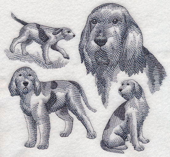 Spinone Italiano Sketch (Full Tail) - Image 4