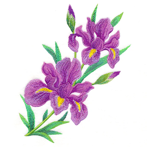Splendid Iris Bouquet - Image 10