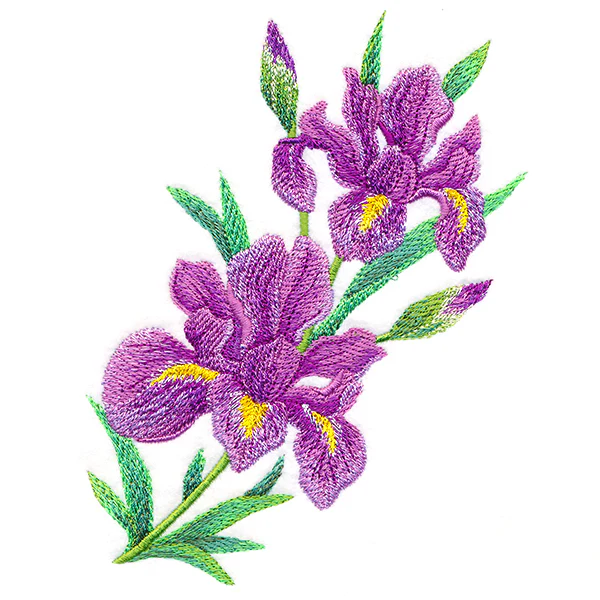Splendid Iris Bouquet - Image 7