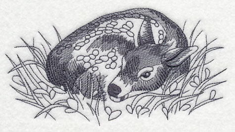 Spring Deer Resting