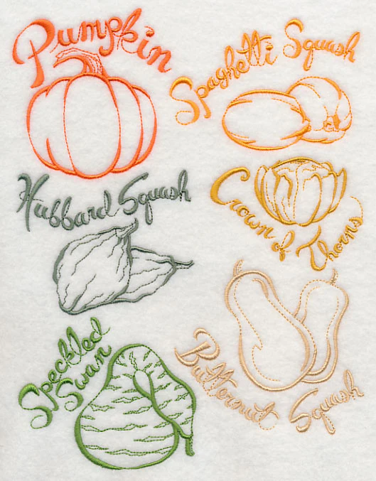 Squash and Gourds - Image 4